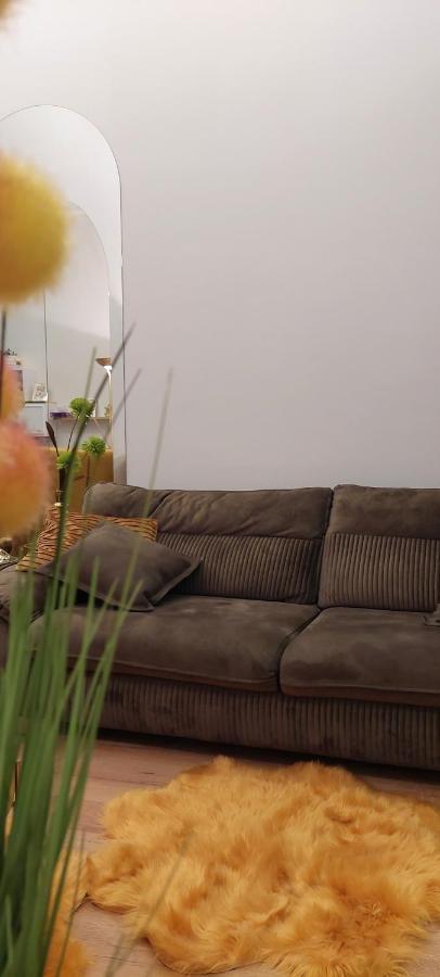 Apartament M فاترا دورني المظهر الخارجي الصورة